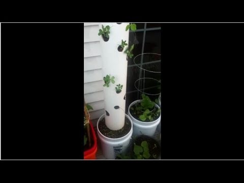 DIY Vertical Planter Container (Small Space Gardening)