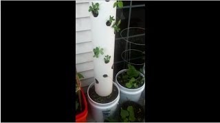 DIY Vertical Planter Container (Small Space Gardening)