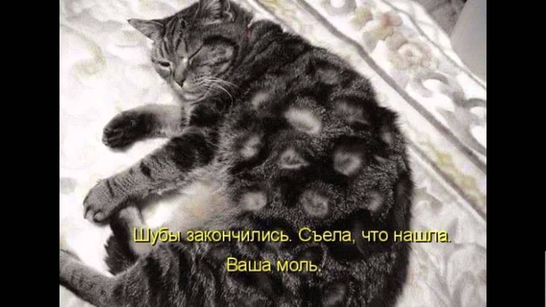 Фото Можно Не Надо