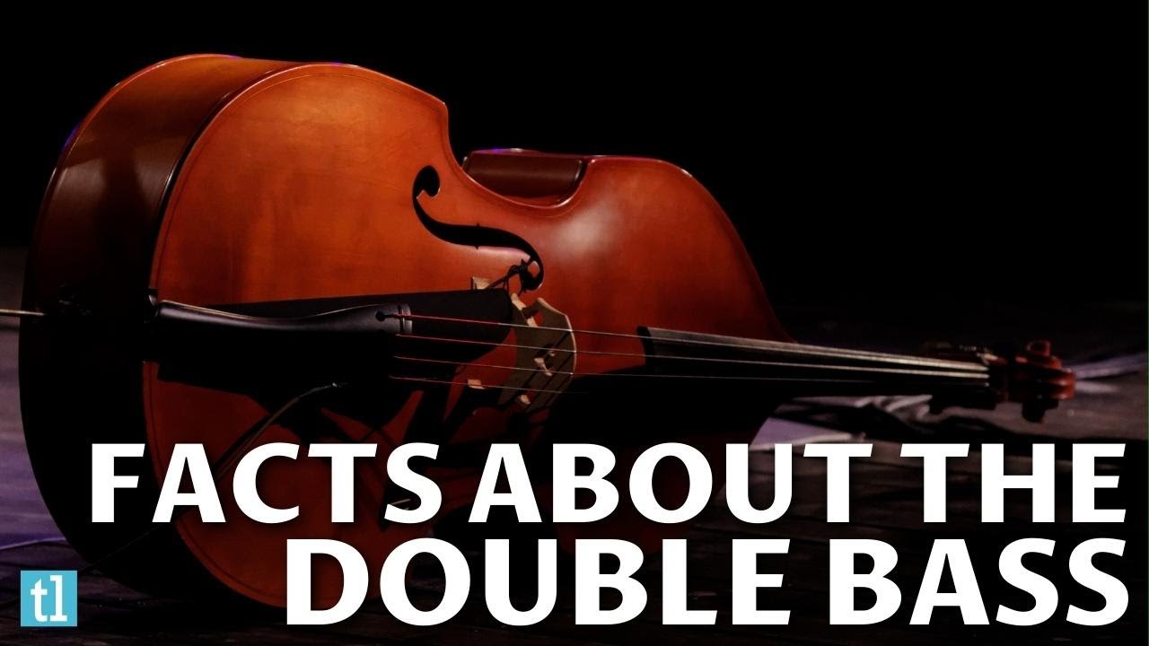 Double Bass Facts