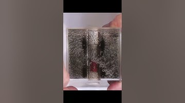 Magnetic Fields Visualized!