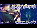 僕らは夢の中 / マカロニえんぴつ 【ドラム】【叩いてみた】