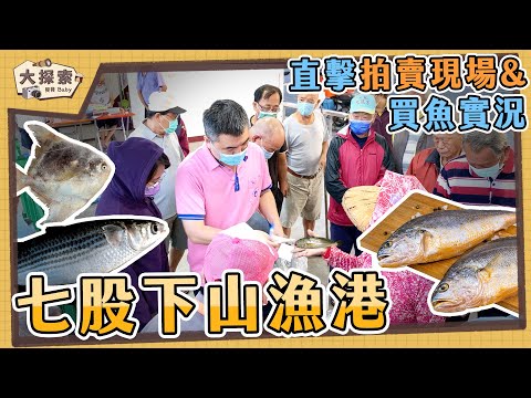 【漁港走透透 Fishing Harbor Tales】#63 台南七股下山漁港及買魚實況|Fishing Port & Seafood | EP_157