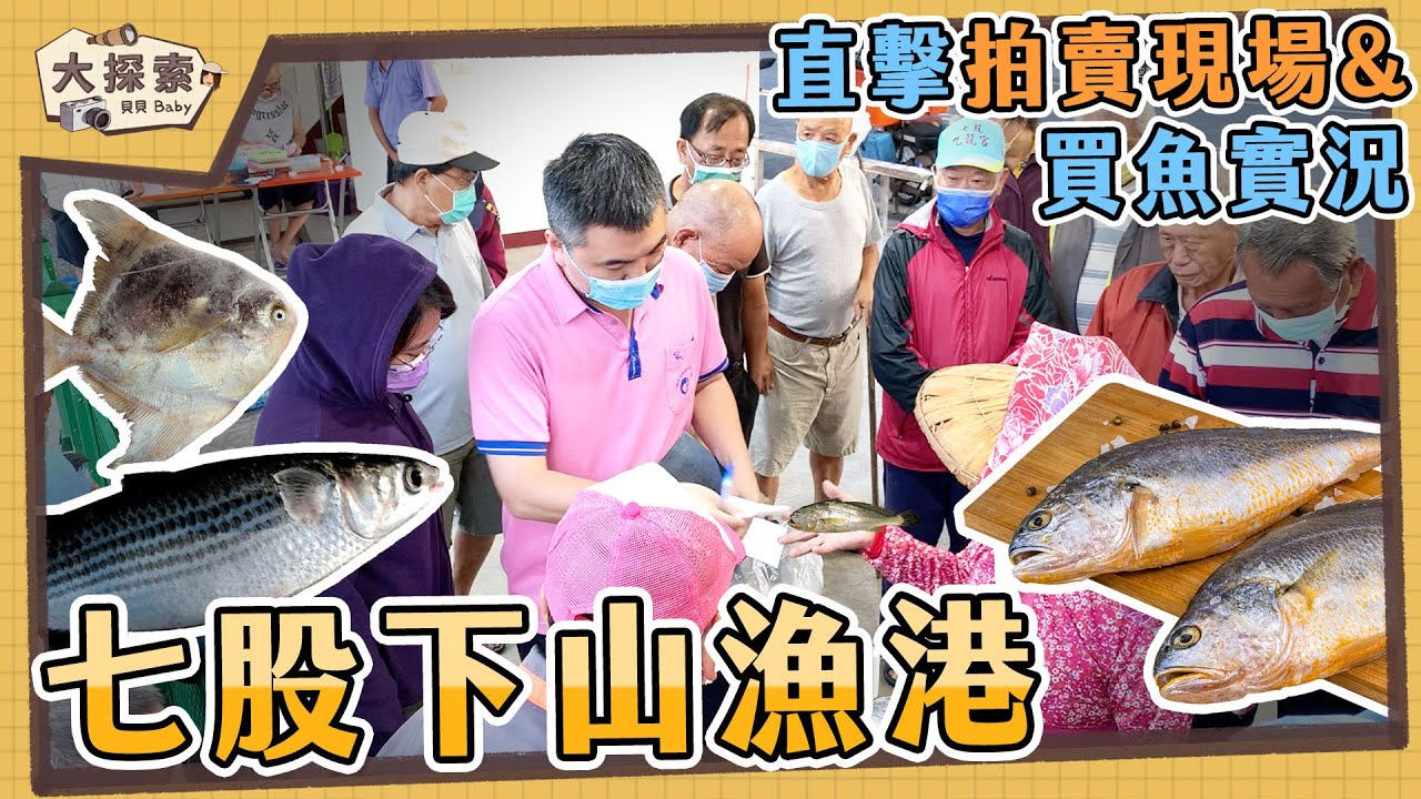 【漁港走透透 Fishing Harbor Tales】#63 台南七股下山漁港及買魚實況｜Fishing Port & Seafood ｜ EP_157