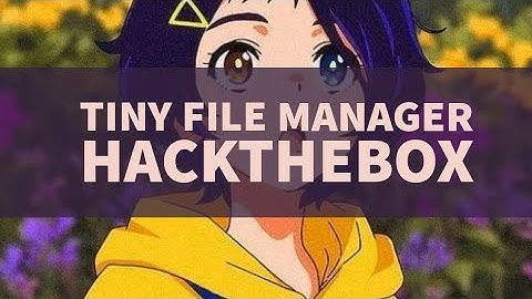 Explotando Tiny File Manager| HTB Soccer