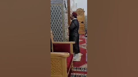 صلاة التراويح والقيام القارئ أسامة قرطيبو