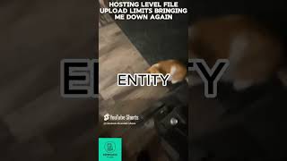 413 request entity too large