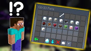 Pets V2 Leaks From Dctr - What To Expect Hypixel Skyblock