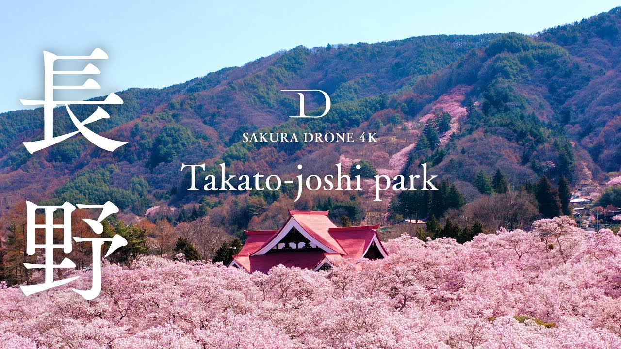 桜ドローンプロジェクト22 3月27日は オンライン花見の日 日本全国桜 をドローン映像で楽しもう 株式会社ドローンエンタテインメントのプレスリリース