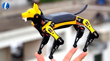 Petoi Bittle, now | A Realistic Palm-sized Robot Dog for STEM and Fun | Invention HD