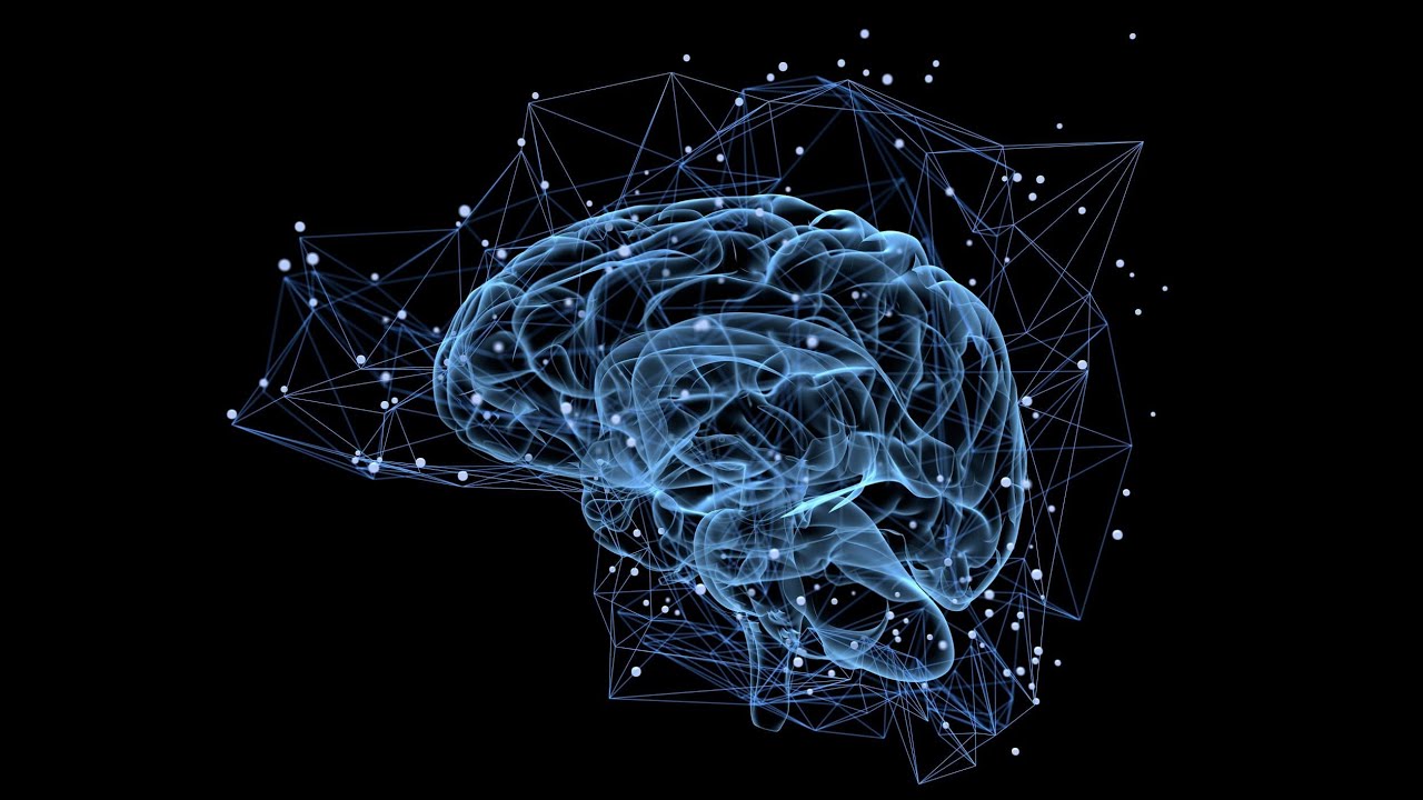 ⁣Тестирую нейронную сеть gerwin