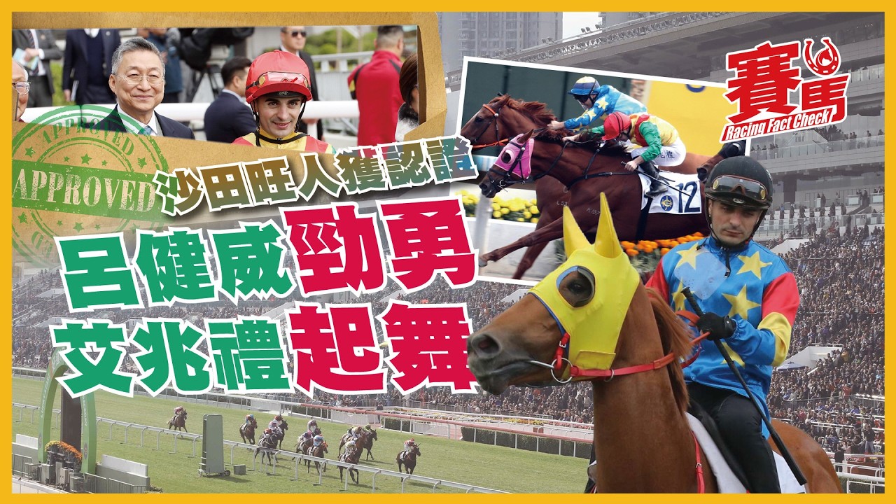 賽前Highlights｜3.8沙田11場泥草賽事 呂健威與艾兆禮最近在田戰贏馬停不了 今期各有惡馬在手 想知有咩數糊籌碼就去片睇睇啦 CC中文字幕#賽馬FactCheck