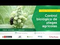 Control biológico de plagas agrícolas