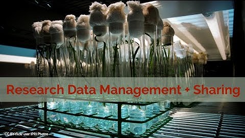 Research Data Management and Sharing