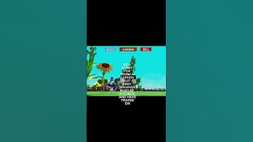 GROW A GARDEN CANDY BLOSSOM DUPLICATE RACOON #roblox  #script  #exploit   #gaming #growagarden #fyp