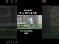アイドルパンダふうひん😍飼育員好きすぎパニック😂