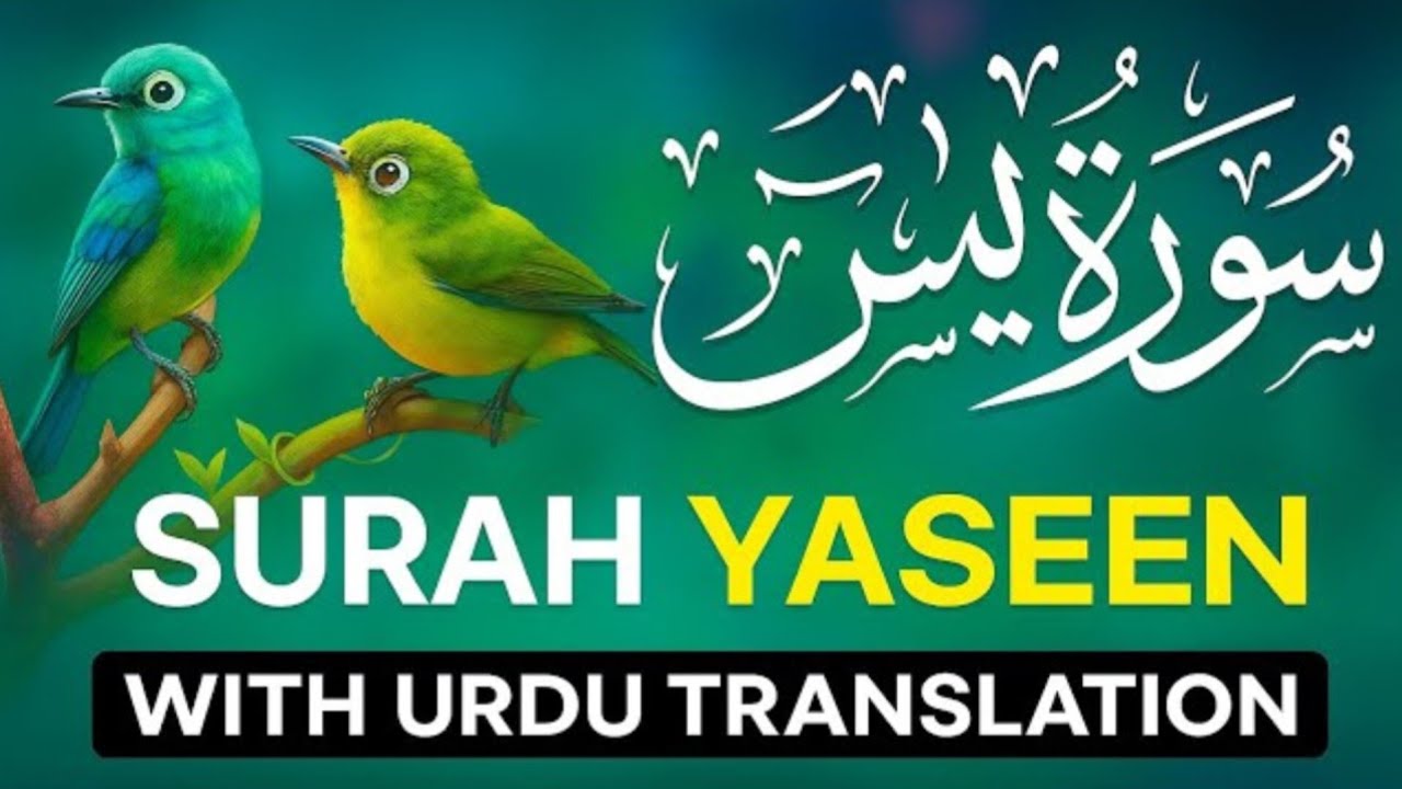 Surah Yasin | Surat Yaseen with Urdu Translation | Hindi Urdu Tarjuma #surahyaseen