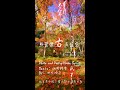 [4K][手機版]京都紅葉 錦秋の祇王寺(3) (照葉懷古五蘊空) Gio-ji Temple maple in Early autumn on November, Kyoto, Japan.