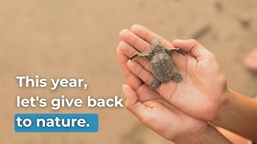 A Call to Action | Let