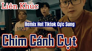 Tổng Hợp Liên Khúc Remix Hot Tiktok 2023 Dài Nhất ll Chim Cánh Cụt Tuyết Diễm - Family Band
