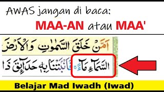 Urai Tajwid Mad Iwadh, contoh mad iwad hamzah | hukum mad iwad dan contohnya | Ngaji Pemula & Lansia
