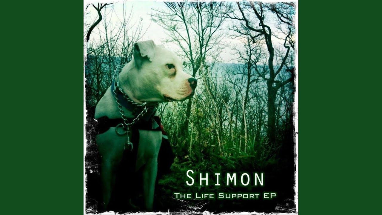 Bed of Nails YouTube