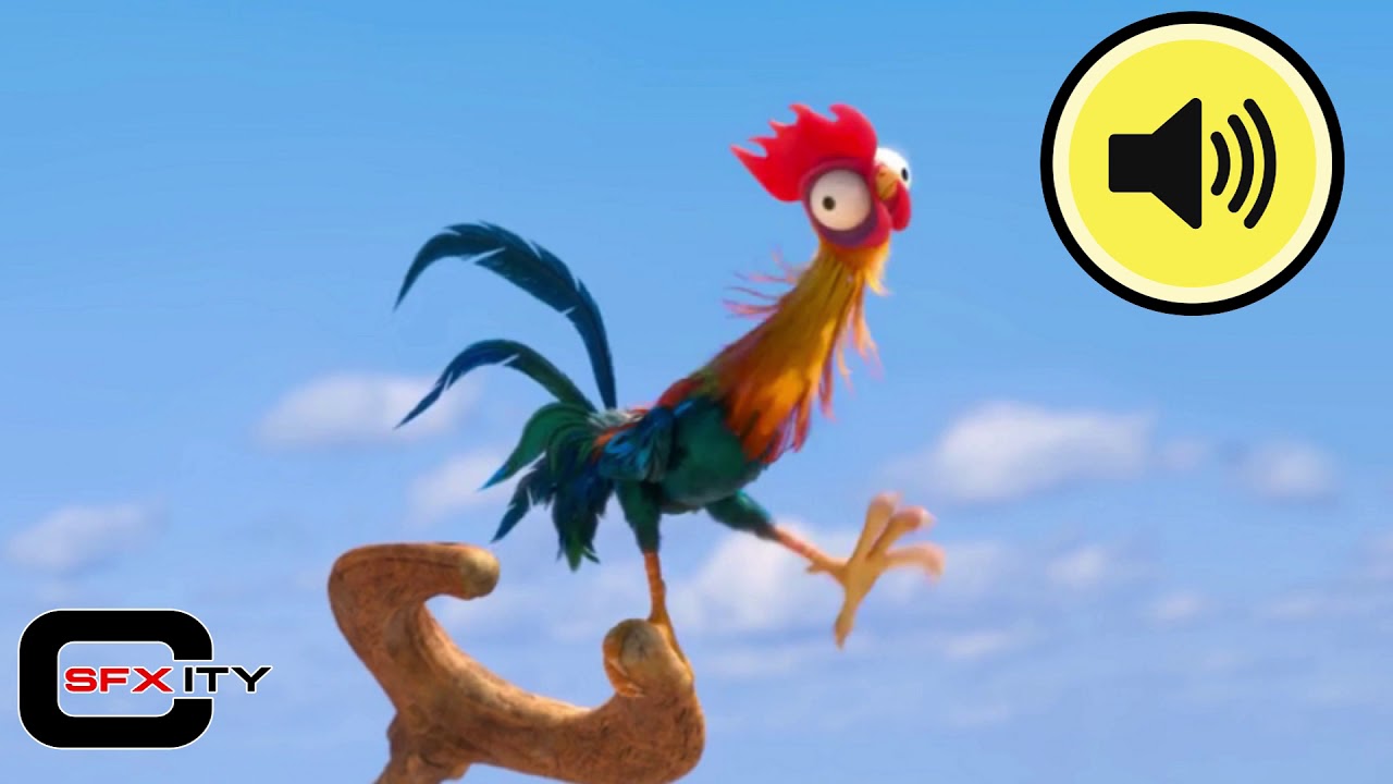 Moana Chicken Sound Effect - Screaming - YouTube