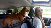 Dog Seat Covers For Toyota 4Runner