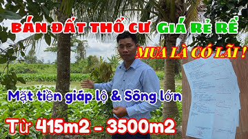 ( ĐÃ BÁN❌)  Đất nền thổ cư giá rẻ Đồng Tháp Mười - Mua 1 Lời 1 LÀ CÓ THẬT ❗️ #Nhadatthienkim