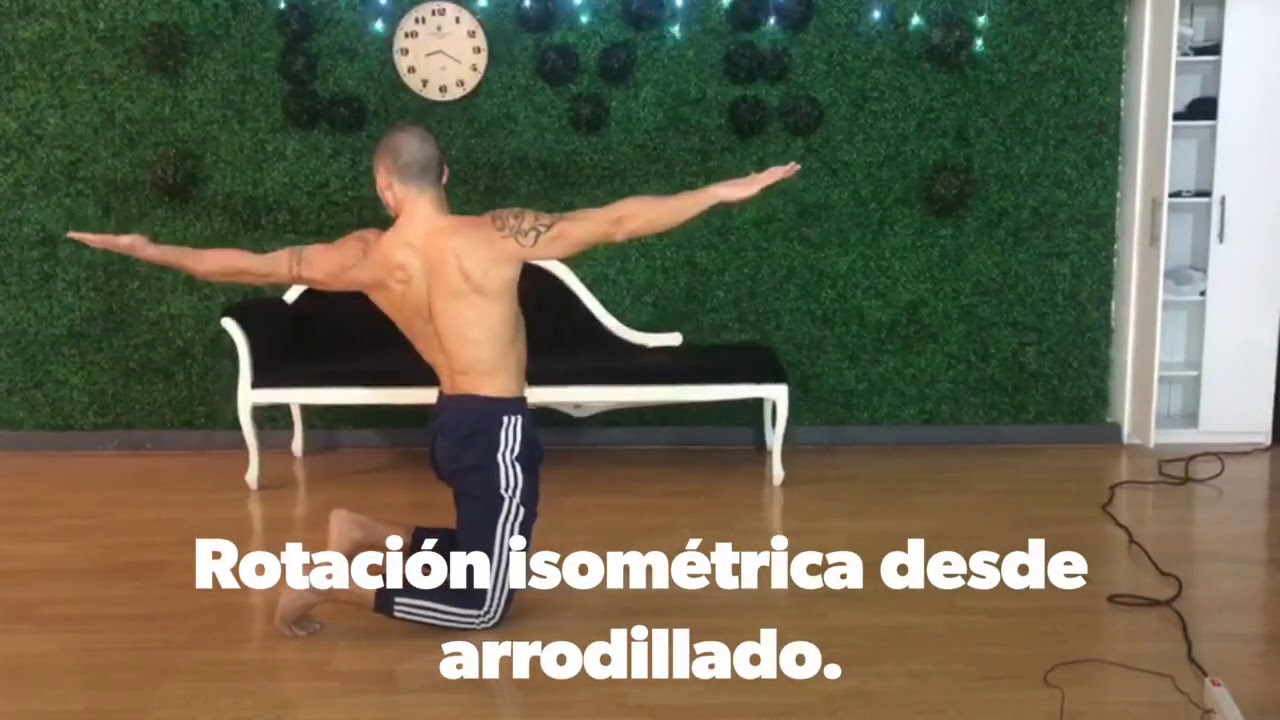Isometric torso rotation on knees - YouTube