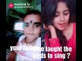 WHO TAUGHT THE BIRDS TO SING???