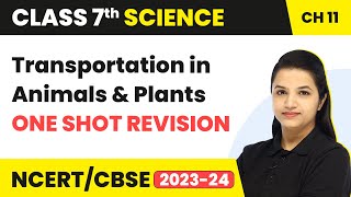 Transportation in Animals and Plants - One Shot Full Chapter Revision | Class 7 Science Chapter 11
