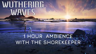 You and The Shorekeeper Just Hanging Out | Wuthering Waves Ambience in 4K