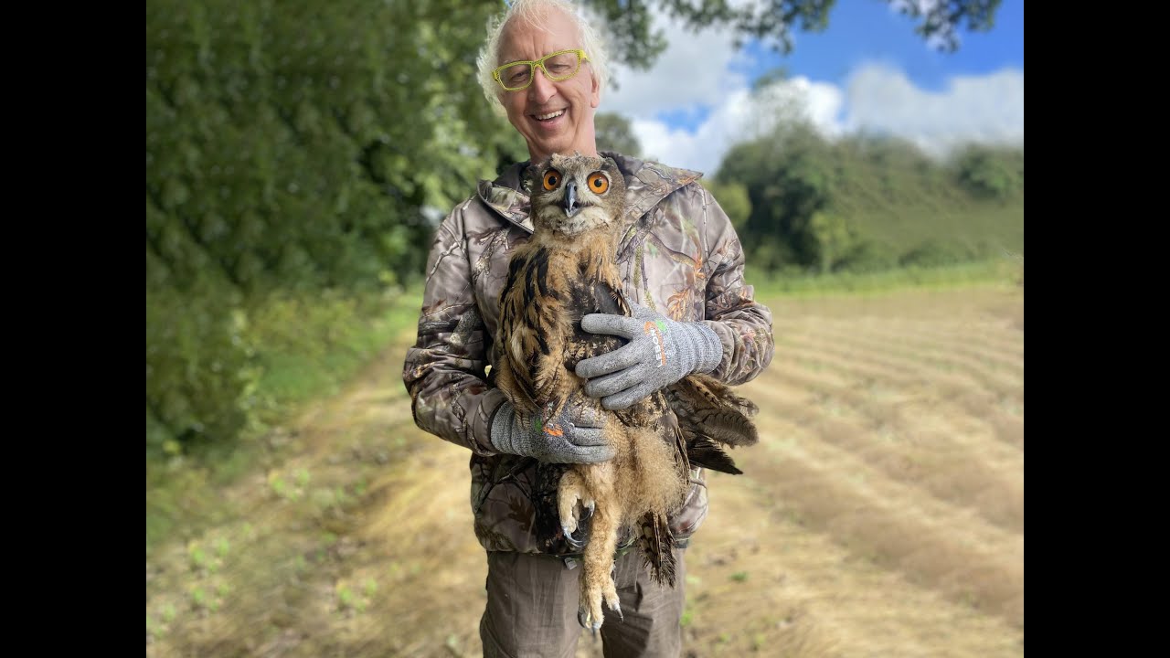 Nature. [Diaporama + vidéo] Bellemagny : lâcher d'un hibou grand-duc pour «  un vétérinaire au grand cœur »