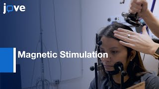 Magnetic Stimulation to measure and manipulate neural Pathways | Protocol Preview