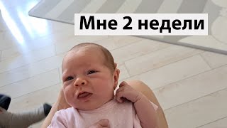 VLOG: Марта подросла