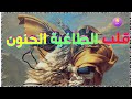 قلب الطاغية الحنون نابليون من كتاب هوامش المقريزي حكايات من مصر للكاتب صلاح عيسى 