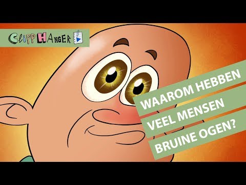 Video: Waarom Zijn De Ogen Bruin?