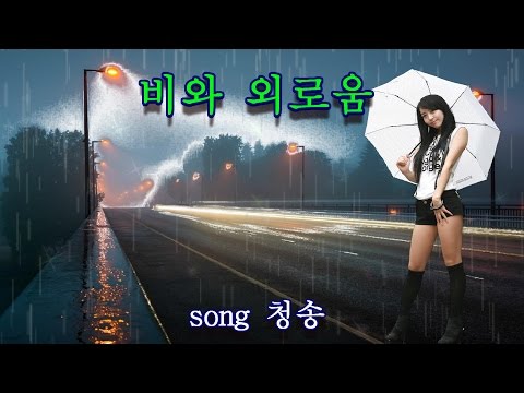 비와 외로움 바람꽃 가사첨부 K POP