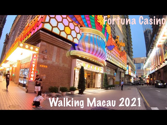Fortuna casino
