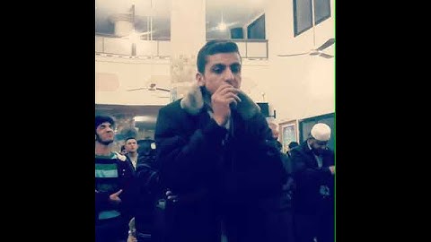 القارئ / محمد عوني أبو سمرة