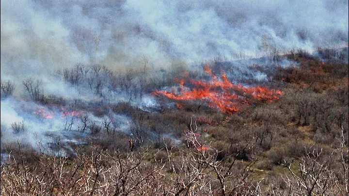 Good Fire, Bad Fire and the State of our Landscapes and Communities Without Fire