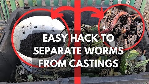 VERMICOMPOSTING: SEPARATE WORMS FROM CASTINGS - EASY!!