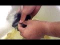 某高校の黒板消しクリーナーの掃除しなかった結果