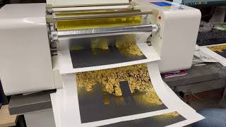 Foil Printer Amd 360 D