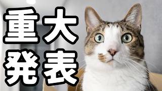 【ファンの皆さまへ】嬉しい重大発表