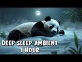 1-Hour Deep Sleep Night Calm – Soft Soundscape for Deep Rest | Relaxing Panda