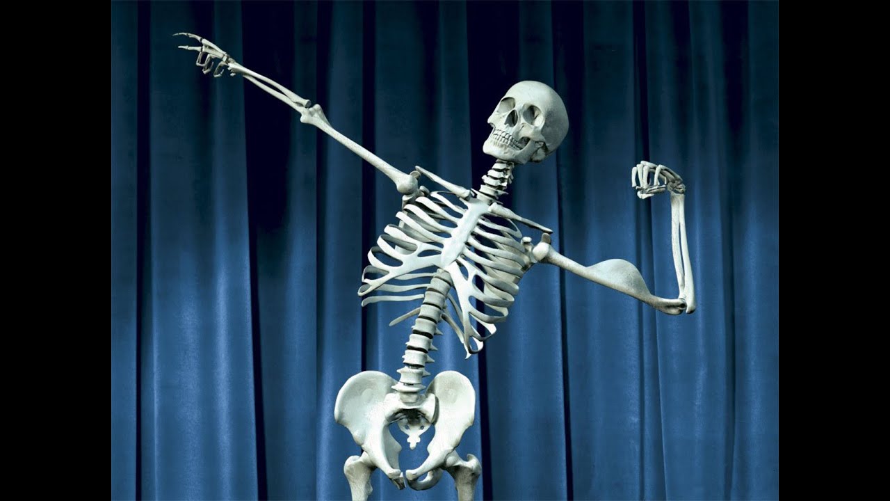 Funny Skeleton Dance Youtube