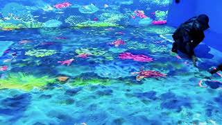 AR interactive projection sand pool