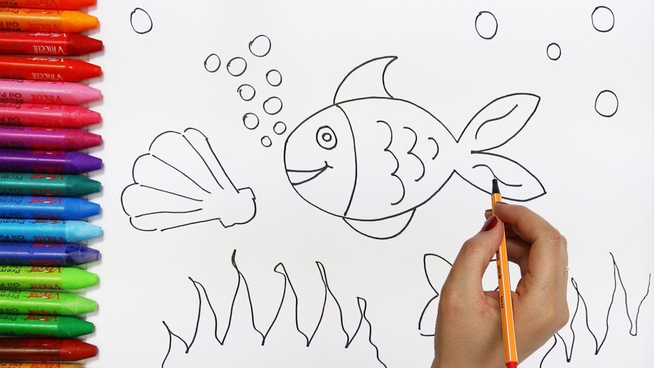 Come Disegnare E Colorare Pesce Frutta E Pagliaccio Per Bambini Youtube